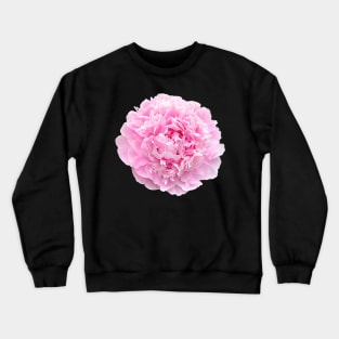 Pretty Pink Peony Flower for your Hydro Flask Crewneck Sweatshirt